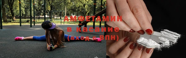 индика Няндома