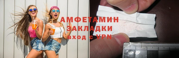 индика Няндома