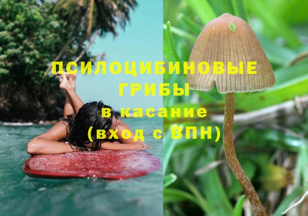 МДМА Алексеевка
