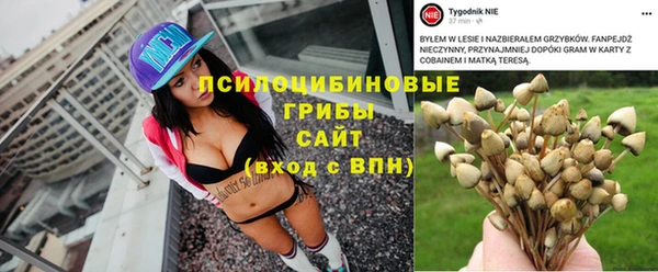 таблы Алзамай