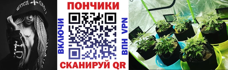Бошки Шишки индика  omg   Осинники  как найти закладки 